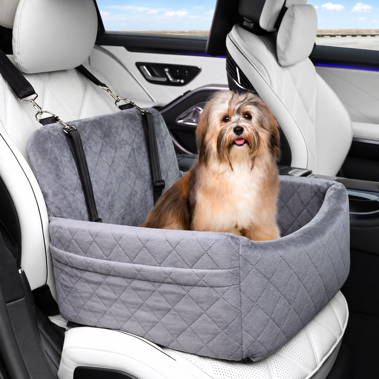 Passenger Paws — view 3