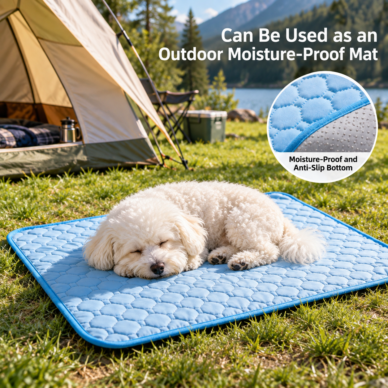 PolarPaw Mat — view 3